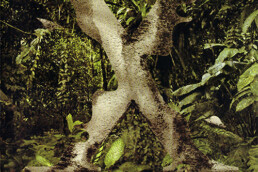 Xaman Ek