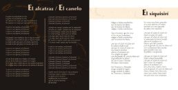 ArpaSONando- Jacinto Gatica