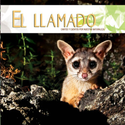 El llamado - CONABIO
